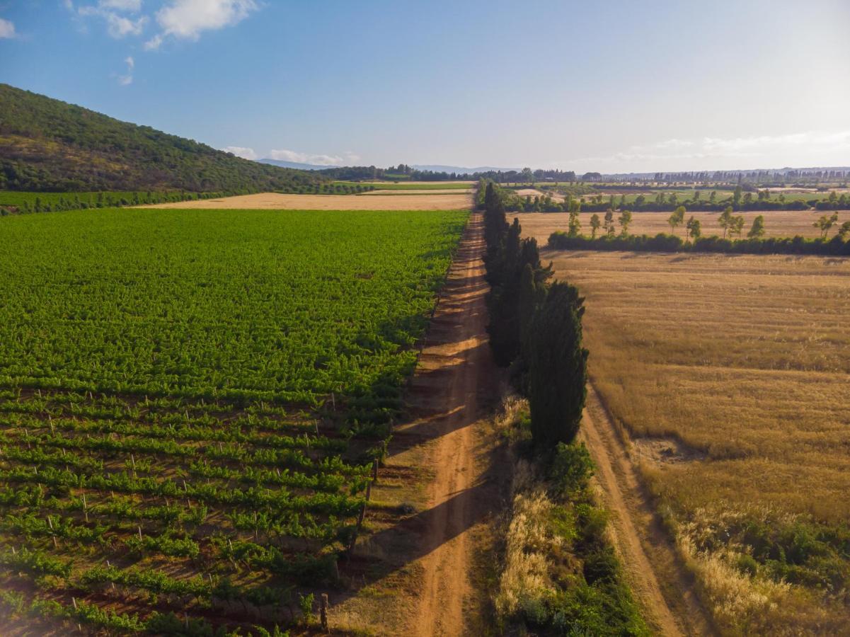 Antica Fattoria La Parrina Villa Orbetello Luaran gambar