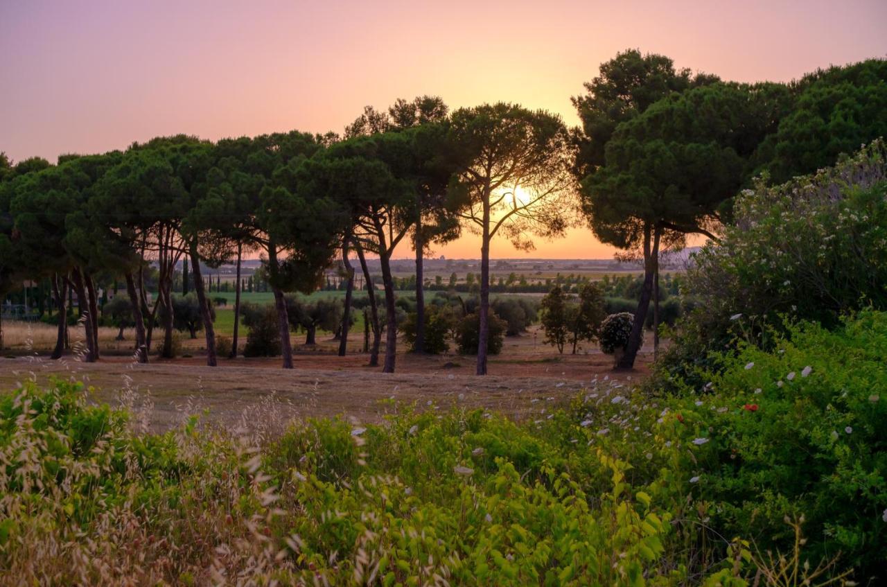 Antica Fattoria La Parrina Villa Orbetello Luaran gambar